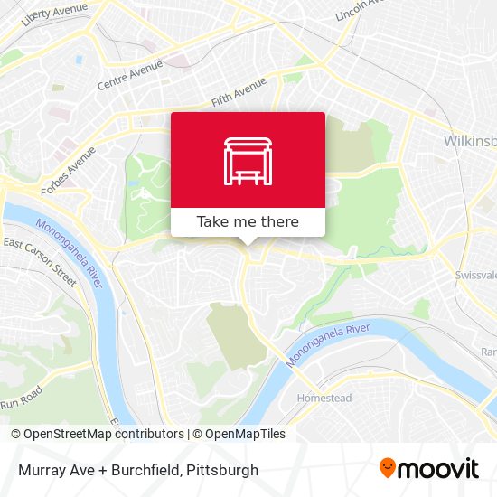 Murray Ave + Burchfield map