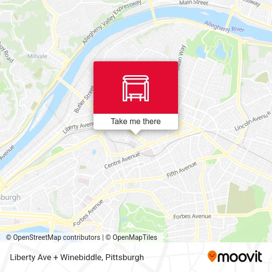 Mapa de Liberty Ave + Winebiddle