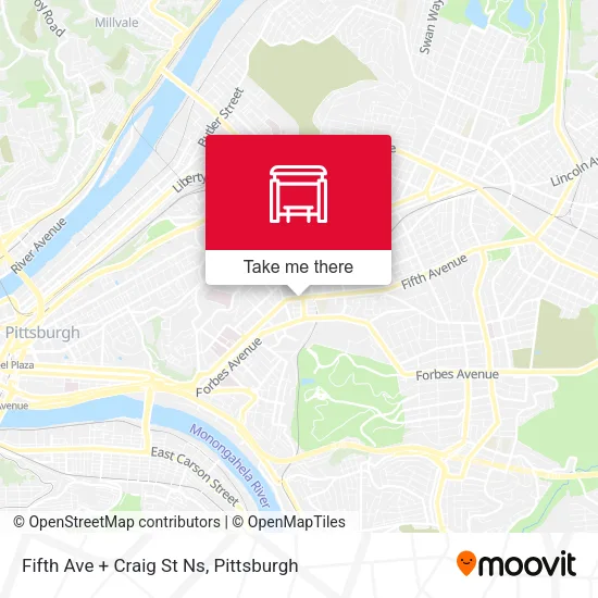 Mapa de Fifth Ave + Craig St Ns