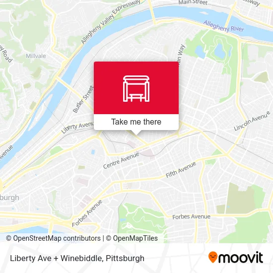Mapa de Liberty Ave + Winebiddle
