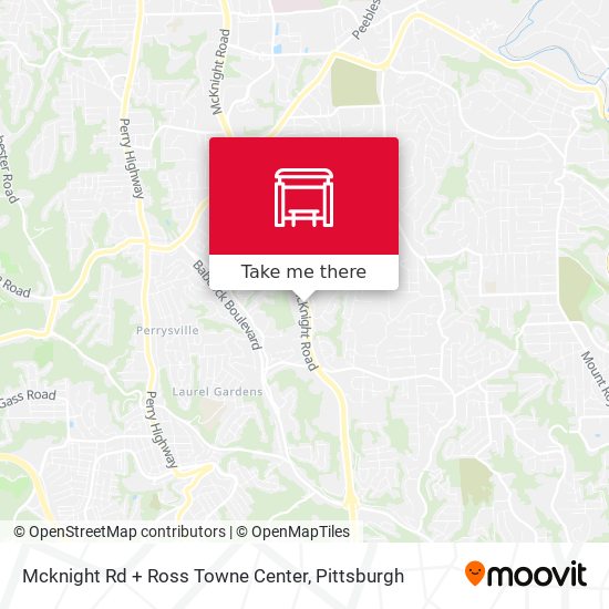 Mcknight Rd + Ross Towne Center map