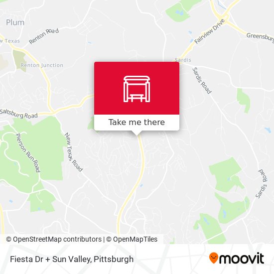 Fiesta Dr + Sun Valley map