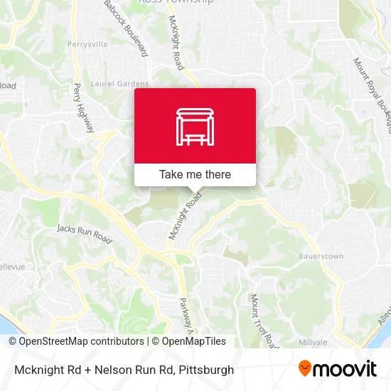 Mapa de Mcknight Rd + Nelson Run Rd