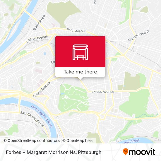 Forbes + Margaret Morrison Ns map