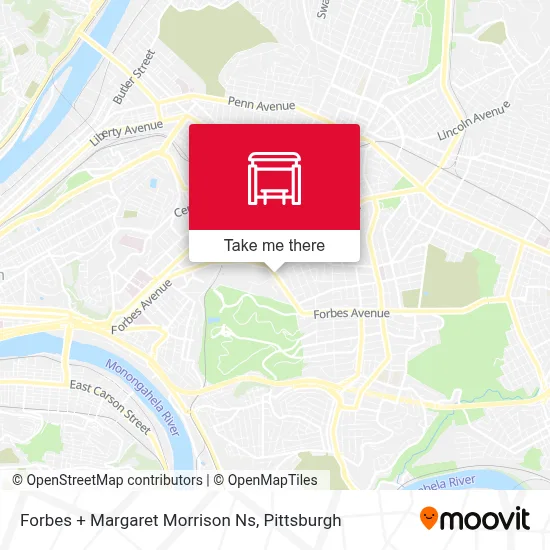 Forbes + Margaret Morrison Ns map