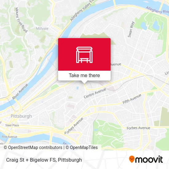 Craig St + Bigelow FS map