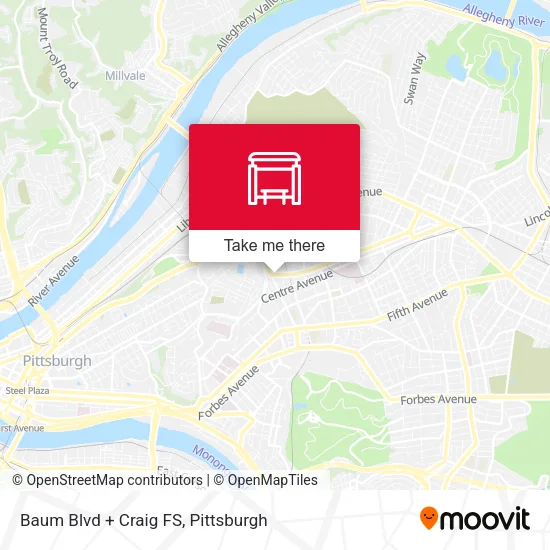 Baum Blvd + Craig FS map