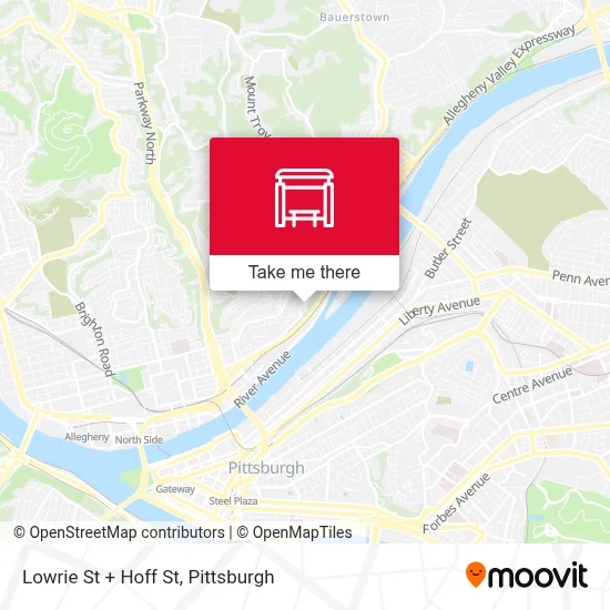 Lowrie St + Hoff St map