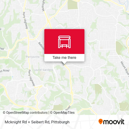 Mcknight Rd + Seibert Rd map