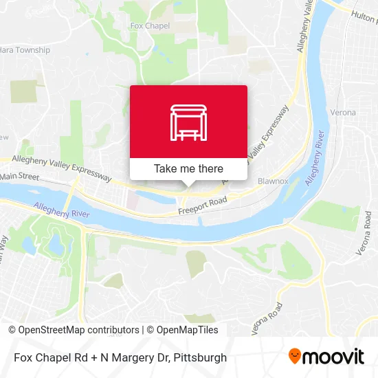 Fox Chapel Rd + N Margery Dr map