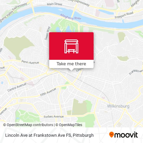 Lincoln Ave at Frankstown Ave FS map