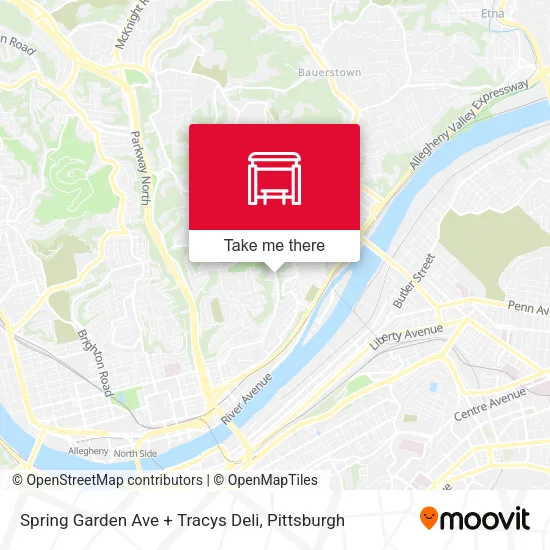 Mapa de Spring Garden Ave + Tracys Deli