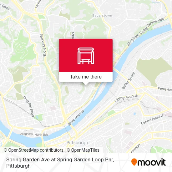 Mapa de Spring Garden Ave at Spring Garden Loop Pnr