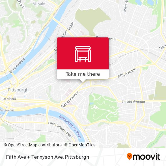 Fifth Ave + Tennyson Ave map