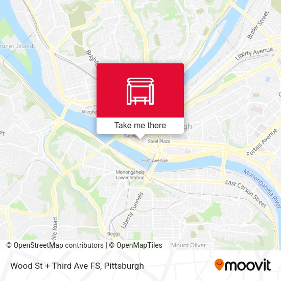 Mapa de Wood St + Third Ave FS