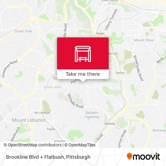 Brookline Blvd + Flatbush map
