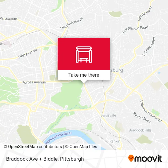 Mapa de Braddock Ave + Biddle