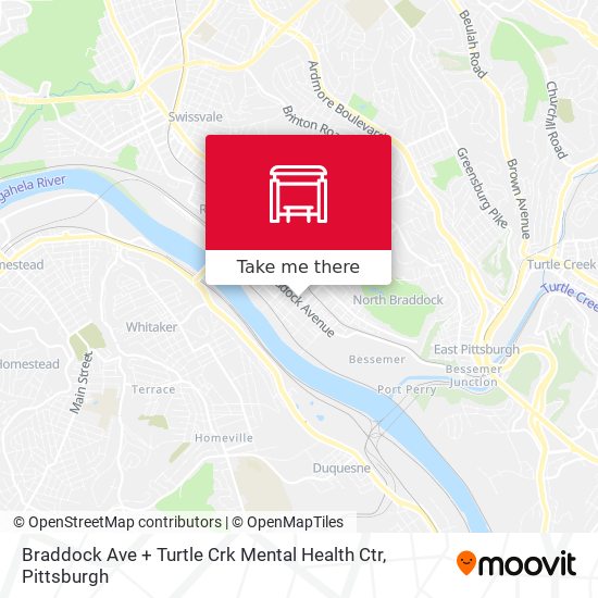 Braddock Ave + Turtle Crk Mental Health Ctr map