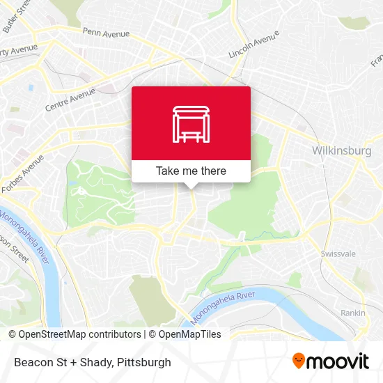 Beacon St + Shady map