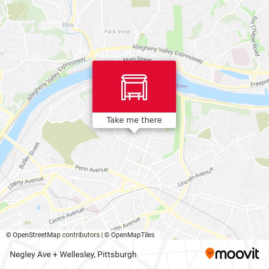 Negley Ave + Wellesley map