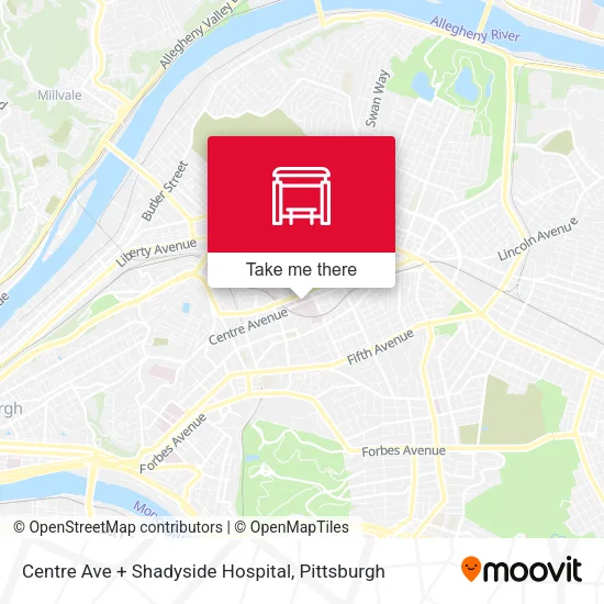 Mapa de Centre Ave + Shadyside Hospital