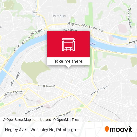 Negley Ave + Wellesley Ns map