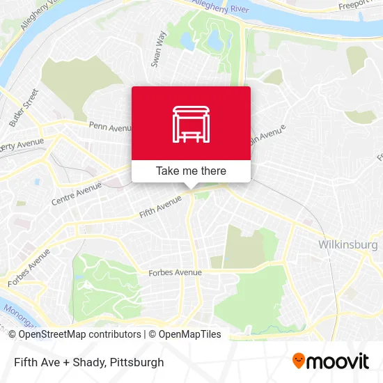 Fifth Ave + Shady map