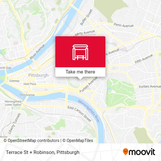 Terrace St + Robinson map