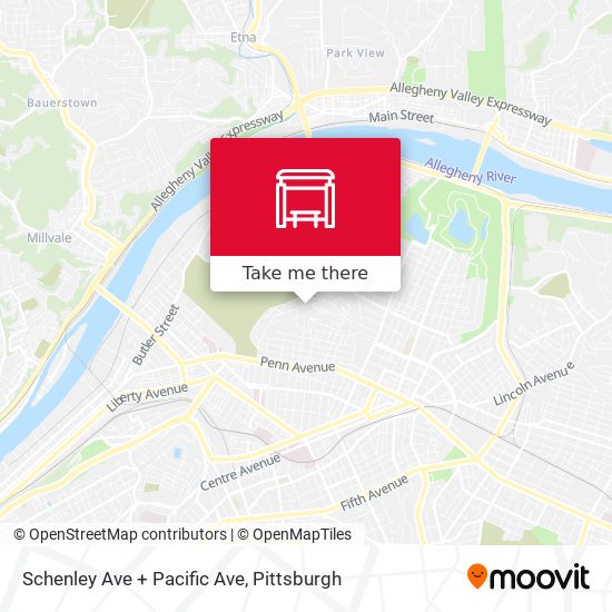 Schenley Ave + Pacific Ave map