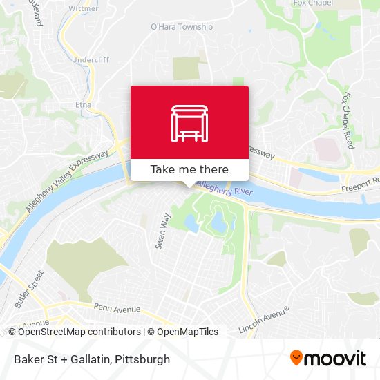 Baker St + Gallatin map