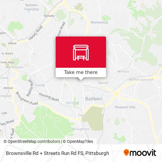 Brownsville Rd + Streets Run Rd FS map