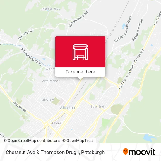 Chestnut Ave & Thompson Drug I map