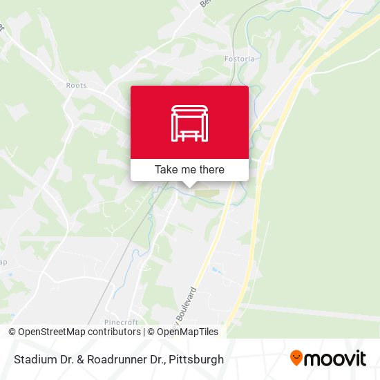 Stadium Dr. & Roadrunner Dr. map