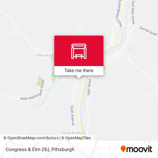 Congress & Elm (Ib) map
