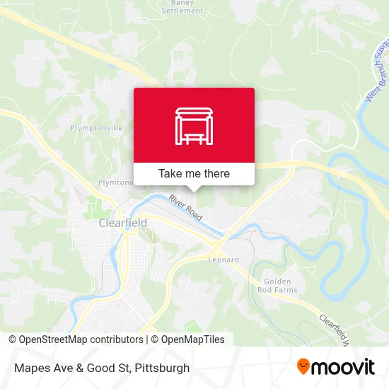 Mapes Ave & Good St map