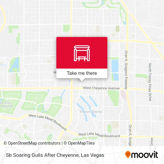 Mapa de Sb Soaring Gulls After Cheyenne