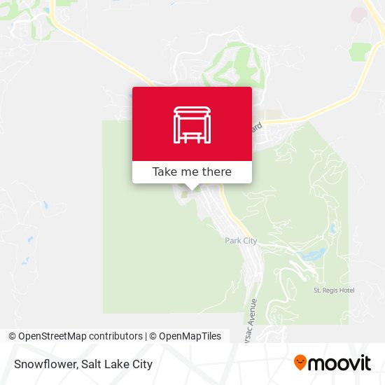 Mapa de Snowflower