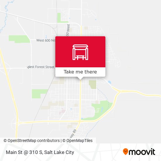 Main St @ 310 S map