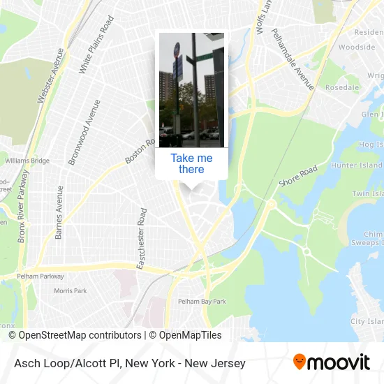 Asch Loop/Alcott Pl map