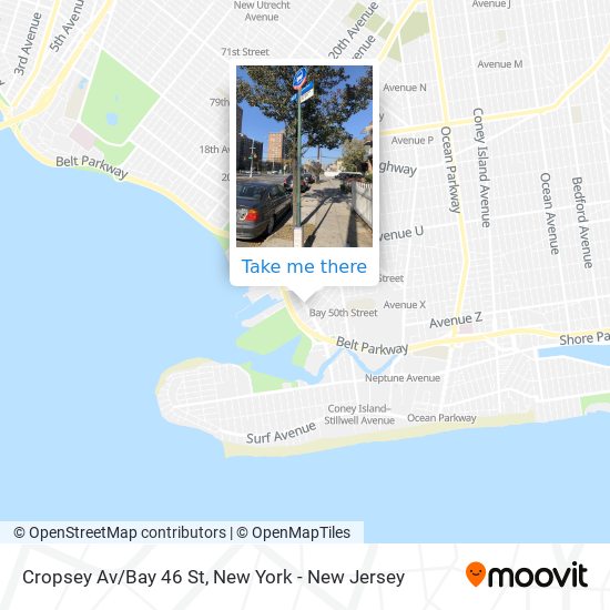 Mapa de Cropsey Av/Bay 46 St