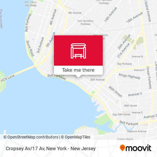 Cropsey Av/17 Av map