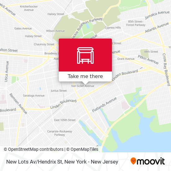 New Lots Av/Hendrix St map