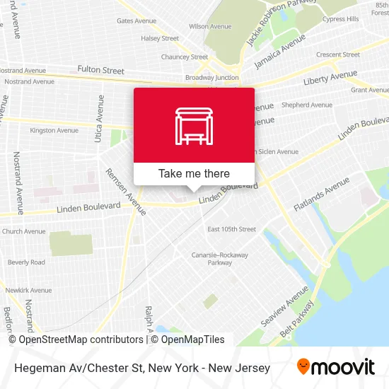 Hegeman Av/Chester St map