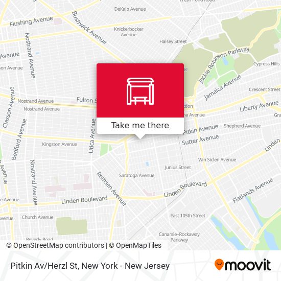 Mapa de Pitkin Av/Herzl St