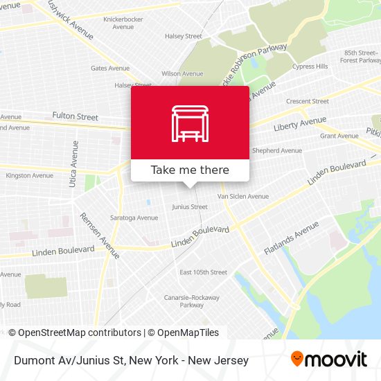 Mapa de Dumont Av/Junius St