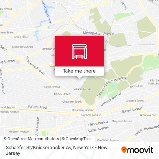 Schaefer St/Knickerbocker Av map