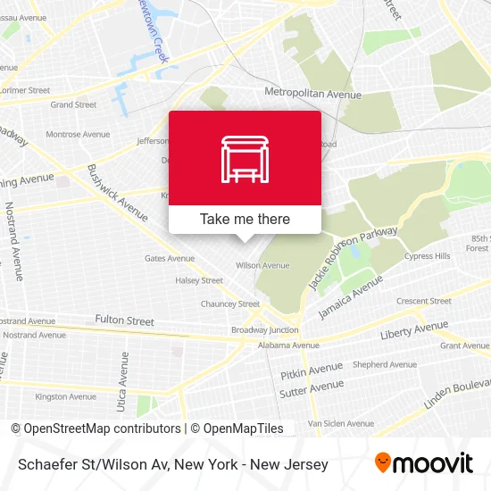 Schaefer St/Wilson Av map