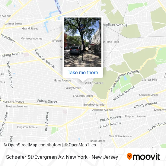 Schaefer St/Evergreen Av map