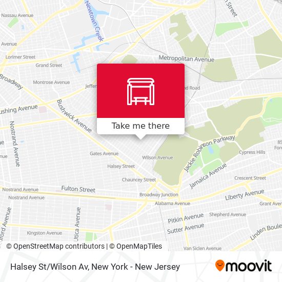 Halsey St/Wilson Av map