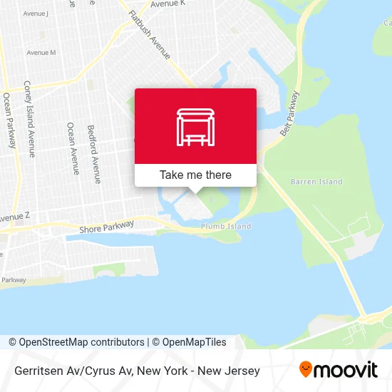 Gerritsen Av/Cyrus Av map